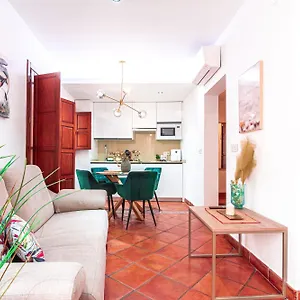 Edomus Setas Boutique Apartamento